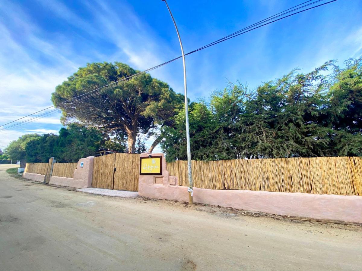 Levante Vejer de la Frontera Exterior foto