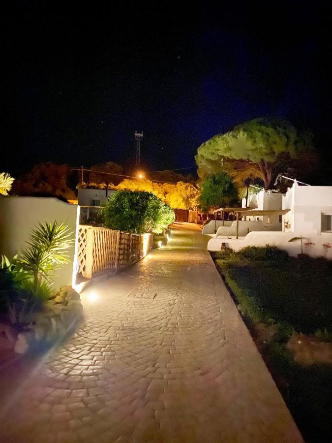 Levante Vejer de la Frontera Exterior foto